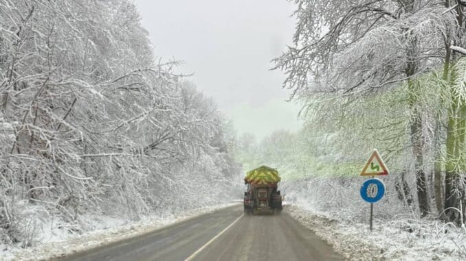 a truck on a road with snow covered trees