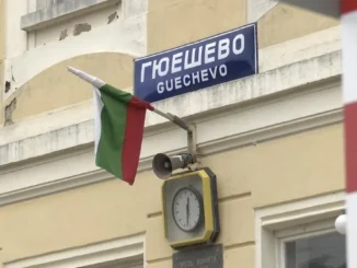 a flag on a pole