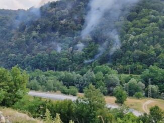 smoke coming out of a forest